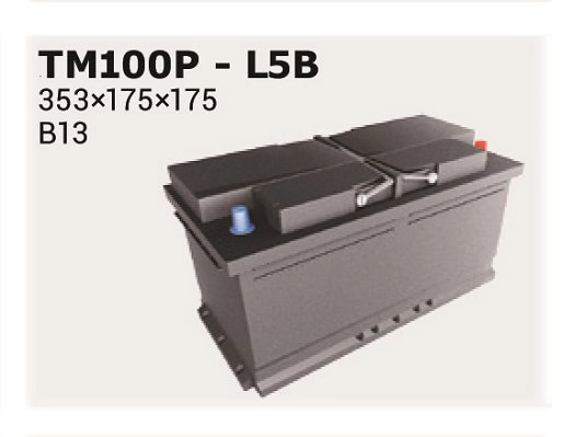 IPSA Indító akkumulátor - TM100P - TothCarparts