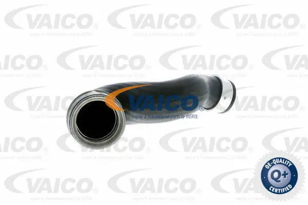 VAICO Töltőlevegő cső - V10-2697 - TothCarparts