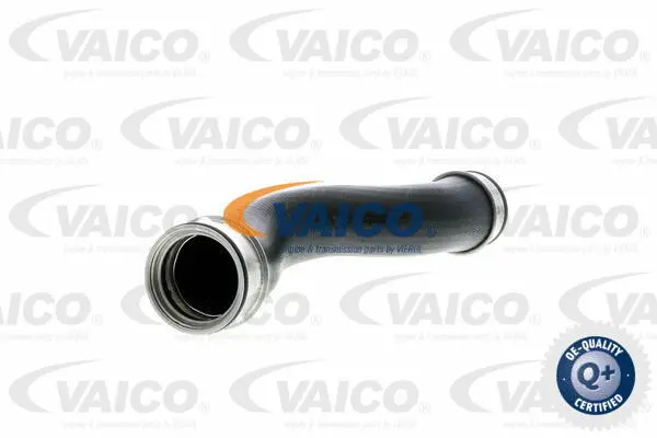 VAICO Töltőlevegő cső - V10-2698 - TothCarparts