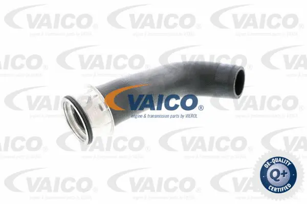 VAICO Töltőlevegő cső - V10-2703 - TothCarparts