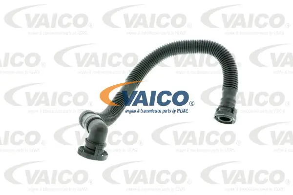 VAICO cső, forgattyúsház szellőztetés - V10-2779 - TothCarparts