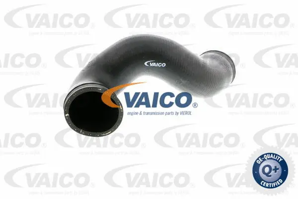 VAICO Töltőlevegő cső - V10-2839 - TothCarparts