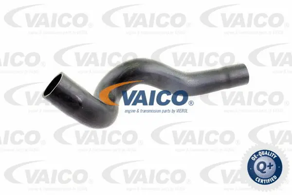 VAICO Töltőlevegő cső - V10-2840 - TothCarparts