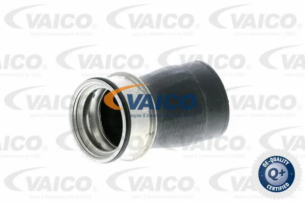 VAICO Töltőlevegő cső - V10-2848 - TothCarparts
