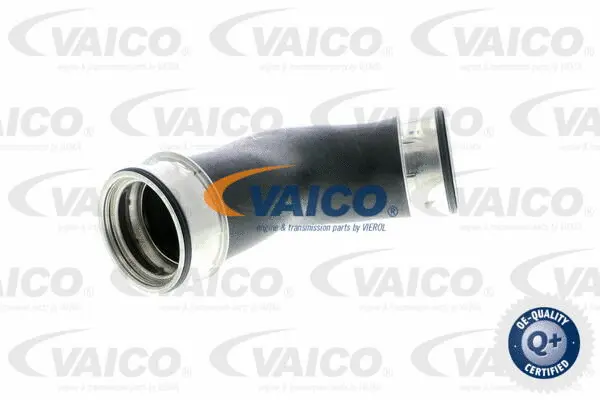 VAICO Töltőlevegő cső - V10-2856 - TothCarparts