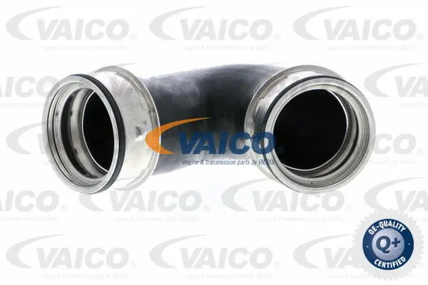 VAICO Töltőlevegő cső - V10-2863 - TothCarparts