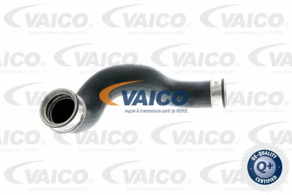 VAICO Töltőlevegő cső - V10-2865 - TothCarparts