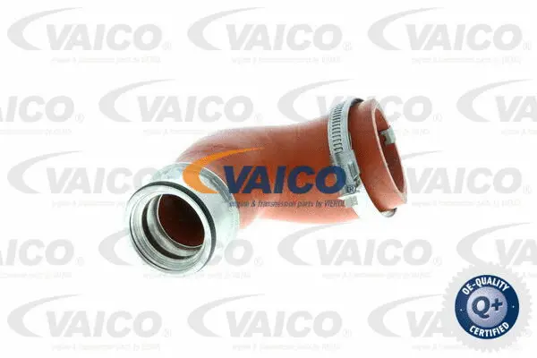 VAICO Töltőlevegő cső - V10-2870 - TothCarparts
