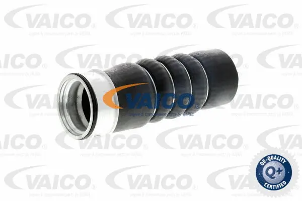 VAICO Töltőlevegő cső - V10-2872 - TothCarparts