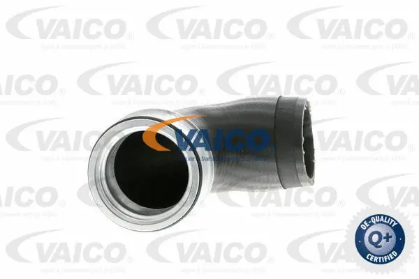 VAICO Töltőlevegő cső - V10-2874 - TothCarparts