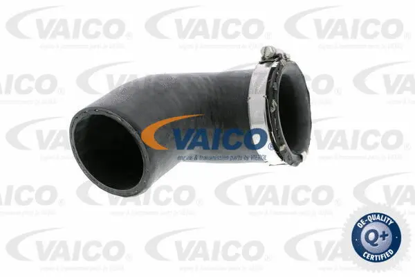 VAICO Töltőlevegő cső - V10-2881 - TothCarparts