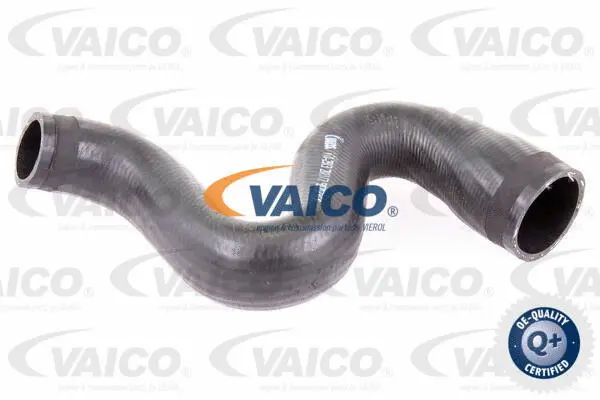 VAICO Töltőlevegő cső - V10-2913 - TothCarparts