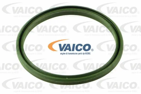 VAICO Tömítőgyűrű, töltőlevegőcső - V10-4451 - TothCarparts
