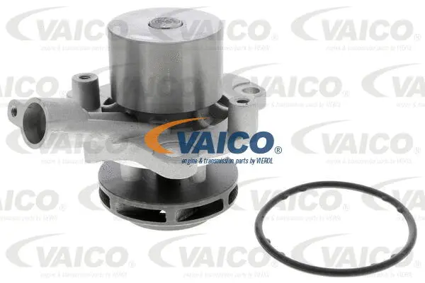 VAICO Vízszivattyú, motorhűtés - V10-50099 - TothCarparts