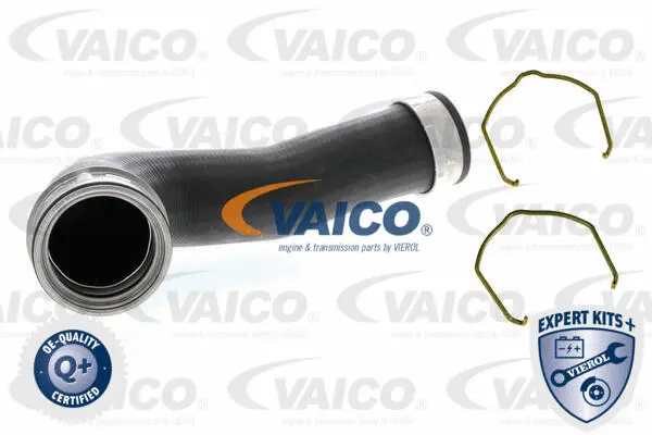 VAICO Töltőlevegő cső - V10-5302 - TothCarparts