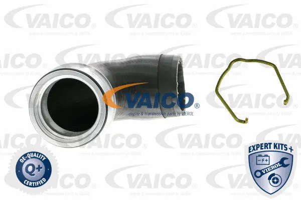 VAICO Töltőlevegő cső - V10-5307 - TothCarparts