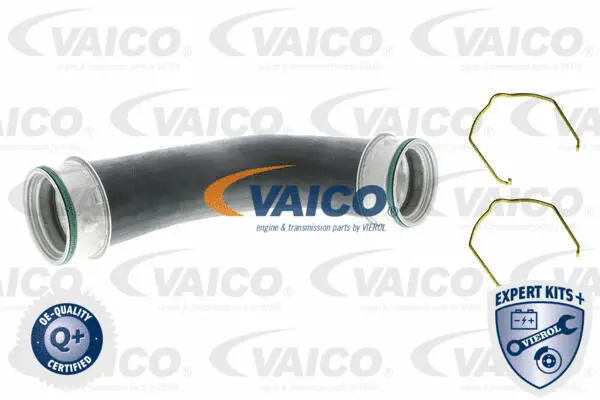 VAICO Töltőlevegő cső - V10-5309 - TothCarparts