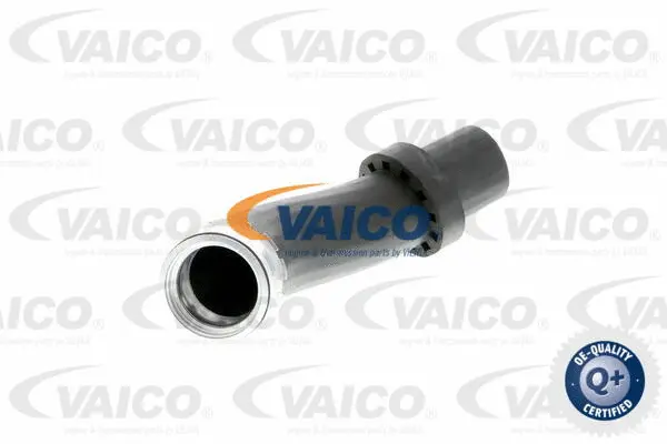 VAICO Töltőlevegő cső - V20-1619 - TothCarparts