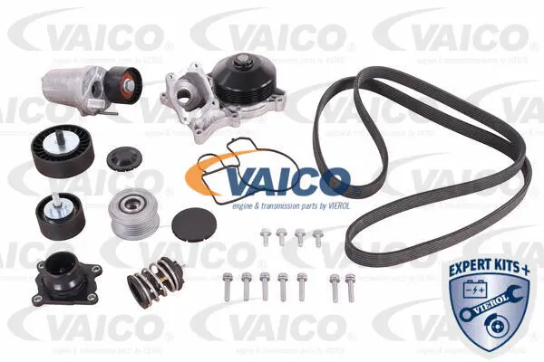 VAICO Vízpumpa + fogasszíj készlet - V20-50100-BEK - TothCarparts