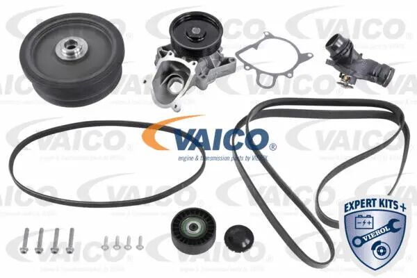 VAICO Vízpumpa + fogasszíj készlet - V20-50104-BEK - TothCarparts
