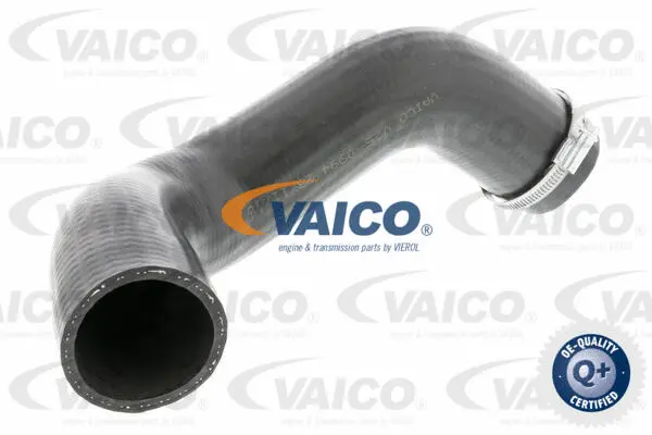VAICO Töltőlevegő cső - V25-0994 - TothCarparts