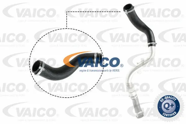 VAICO Töltőlevegő cső - V25-1024 - TothCarparts