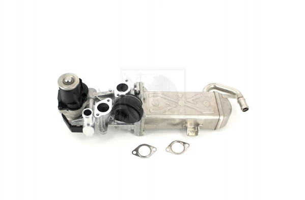 NPS AGR-szelep - V564G01 - TothCarparts