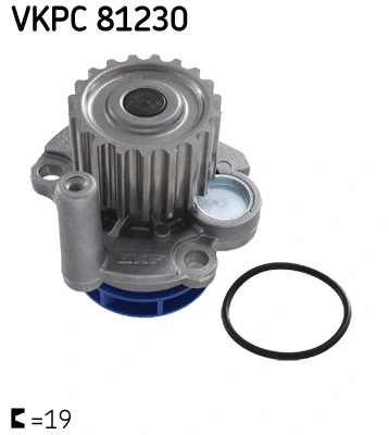 SKF Vízszivattyú, motorhűtés - VKPC 81230 - TothCarparts