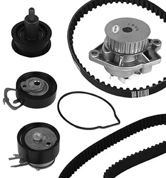 WILMINK GROUP Vízpumpa + fogasszíj készlet - WG1790833 - TothCarparts
